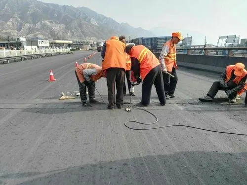 郸城道路桥梁病害治理